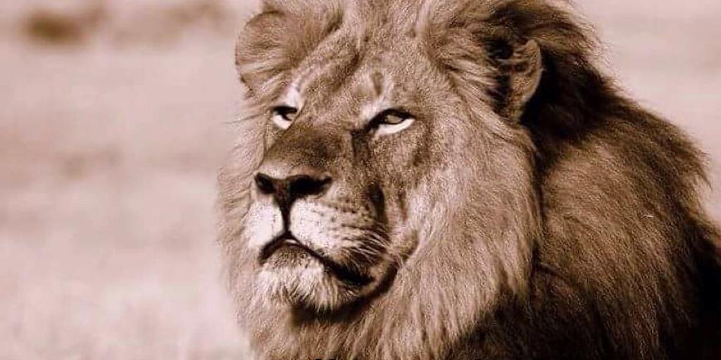 sshack873's profile banner image
