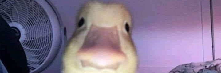 carlrepato_'s profile banner image