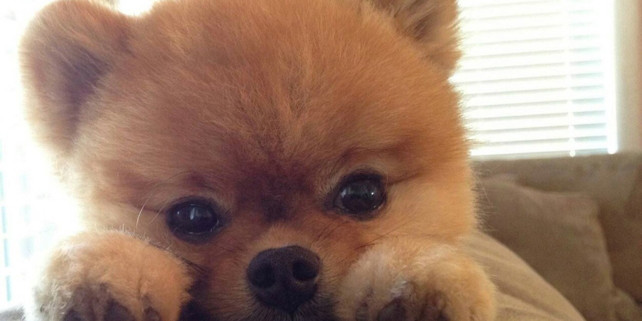 SimpleME_Argie's profile banner image