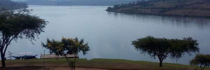 Chydovsky || 2023 is a fight for your life banner