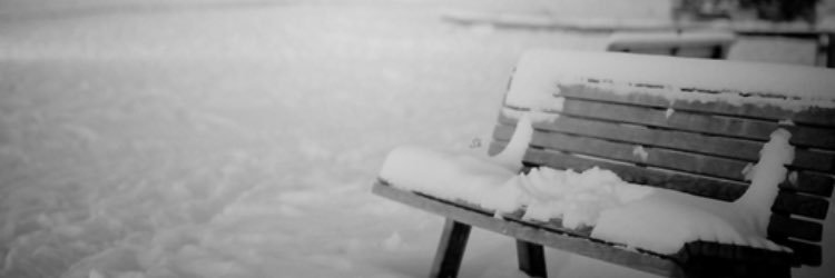roooj_f's profile banner image