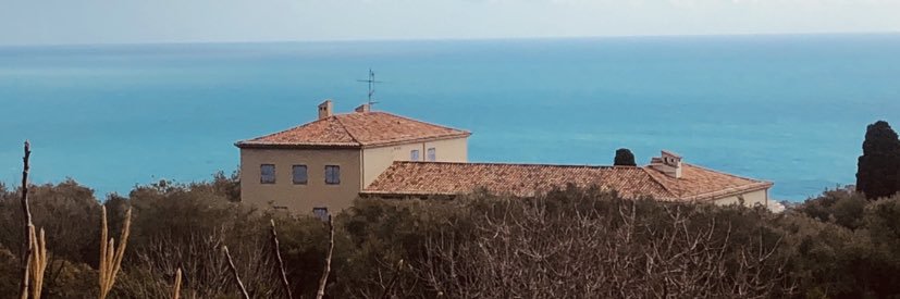 Stephanie Smith 💙 banner