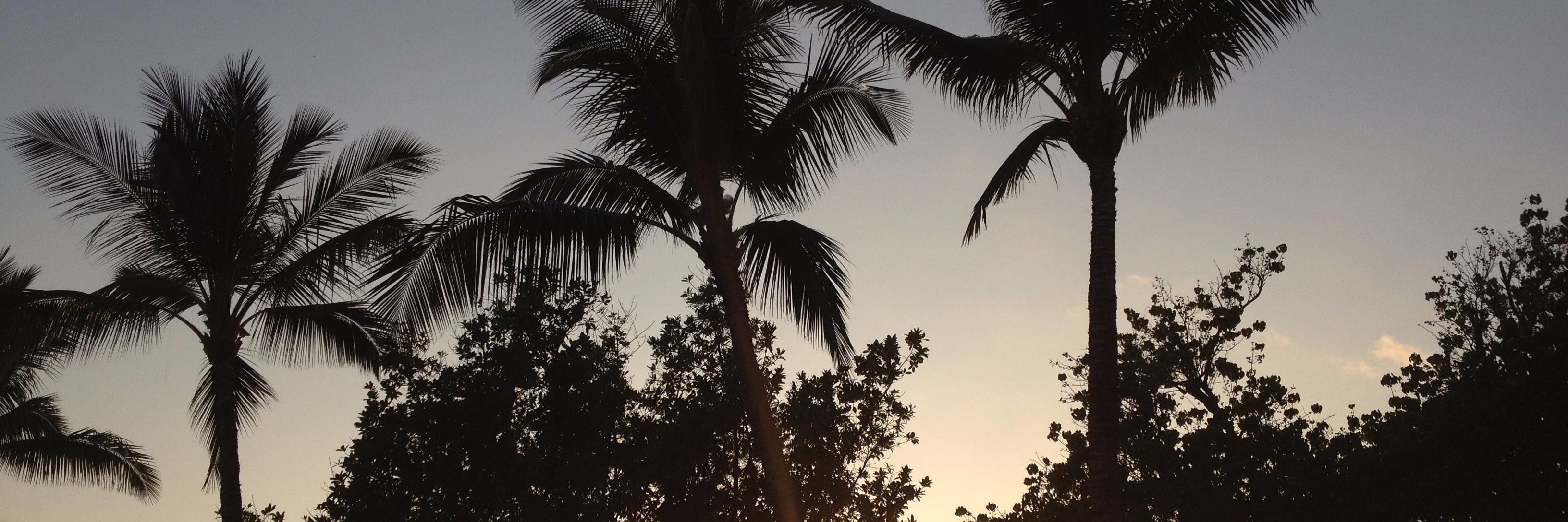 BronnieScott's profile banner image