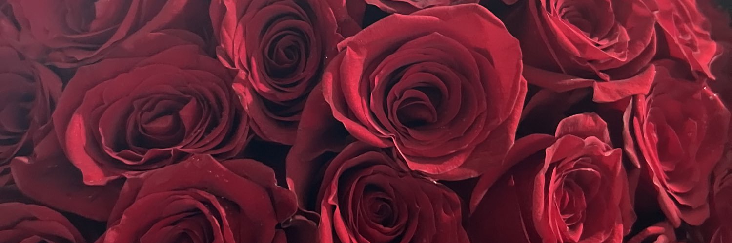 myragzmn's profile banner image