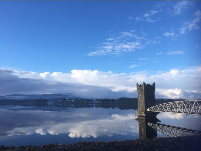 CarolAnnCurley's profile banner image