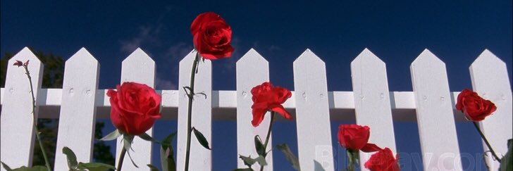 Mike Testin banner
