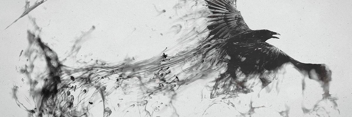 birdsbard's profile banner image