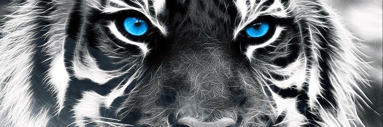 ivanmembri's profile banner image
