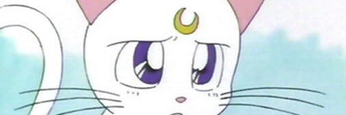 Potz_er's profile banner image