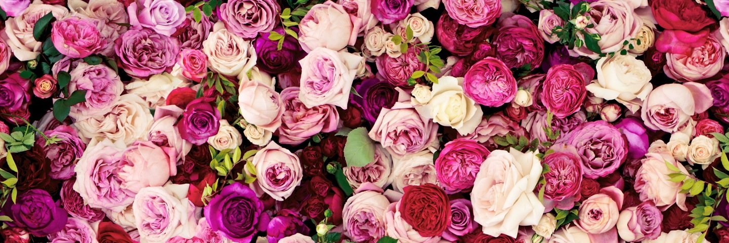 kcuer's profile banner image