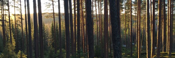 GuLinden Profile Banner