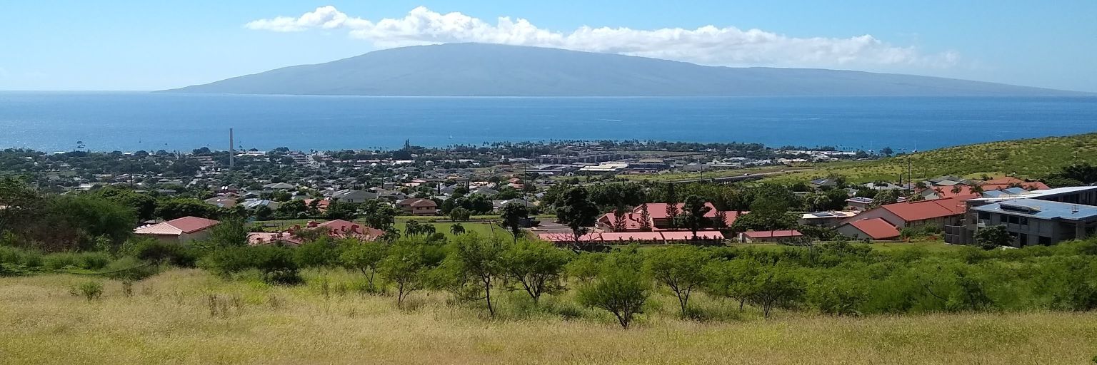 Michael A Martin banner