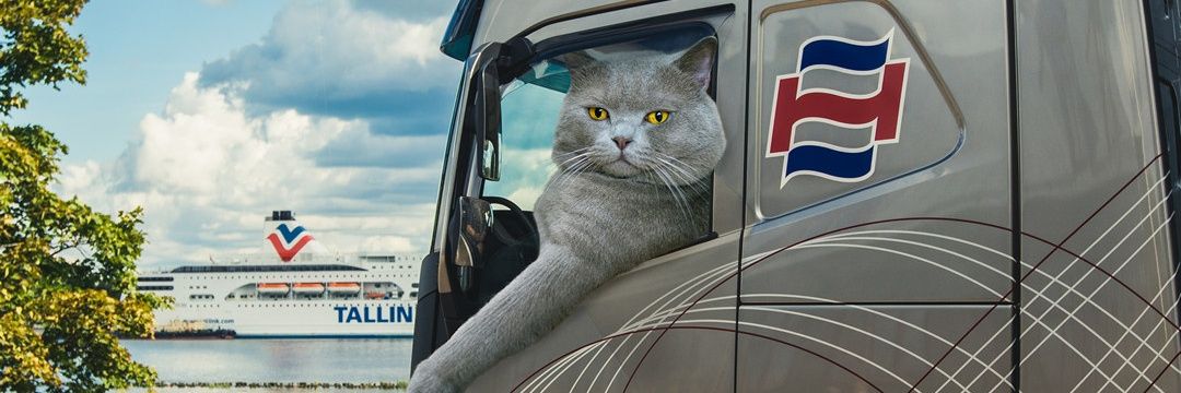 arturs07's profile banner image
