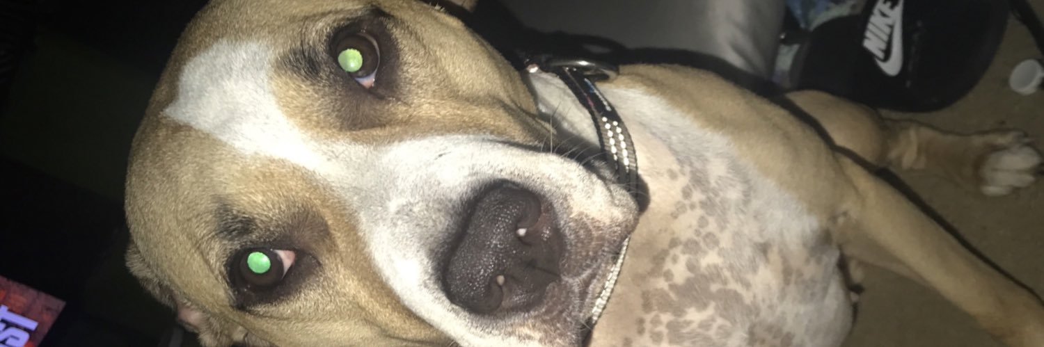 I_HAS_AUTISM's profile banner image