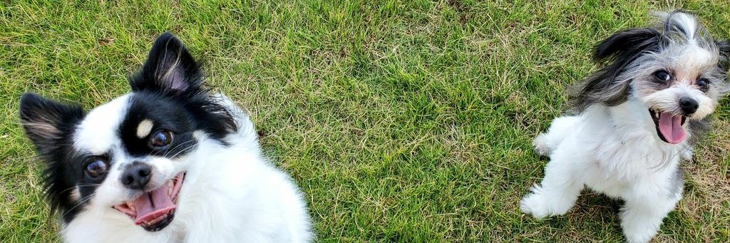 ync22r's profile banner image