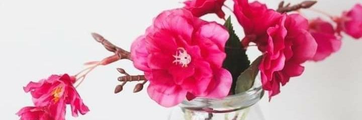MayteRTardio's profile banner image