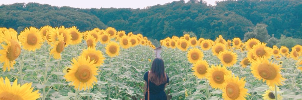 MichuOrange's profile banner image