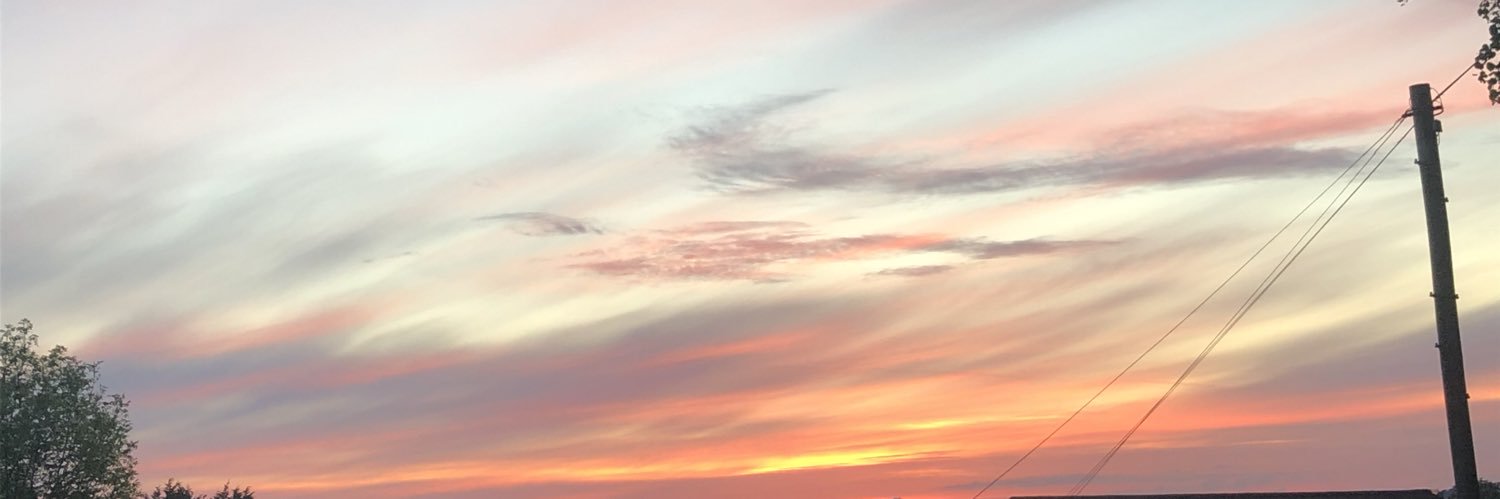 JessRiddick's profile banner image