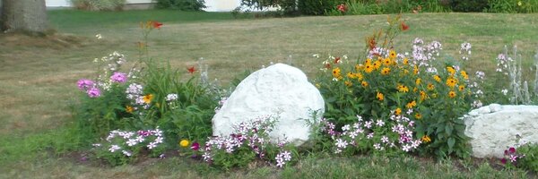 Arepaki Profile Banner