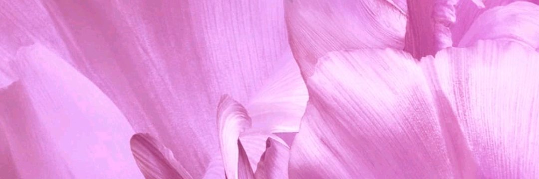 IamSamke's profile banner image