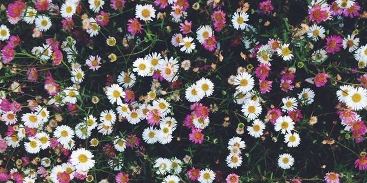 hi_dih's profile banner image