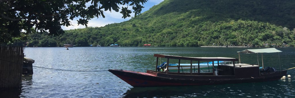 Janet DeNeefe banner