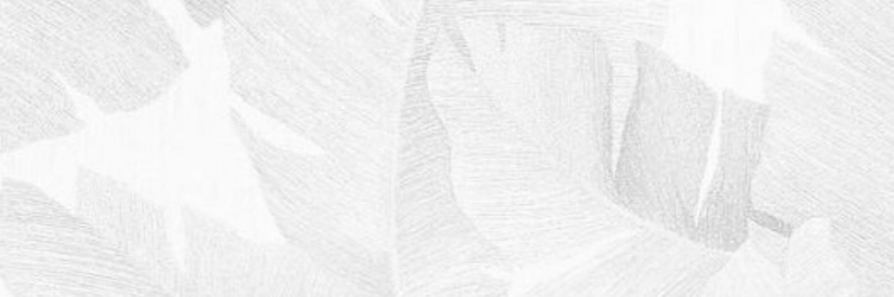 hmtplbg's profile banner image