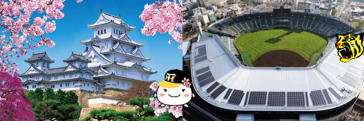 🐯 虎まる姫 🐯 熱覇 🔥 banner