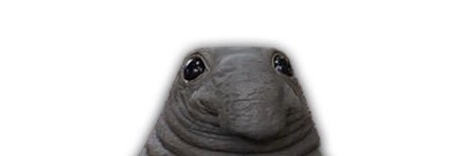 HiHowAreThings's profile banner image