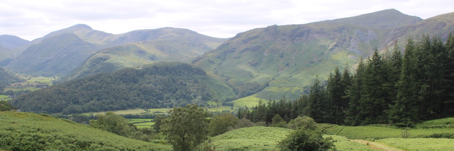 Martin Wilburn banner