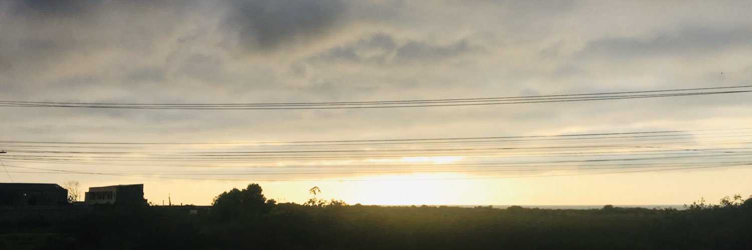 WittDavi's profile banner image