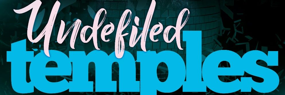 Village Ombudsman banner