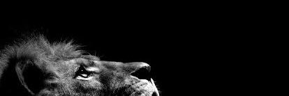 JToumpas's profile banner image