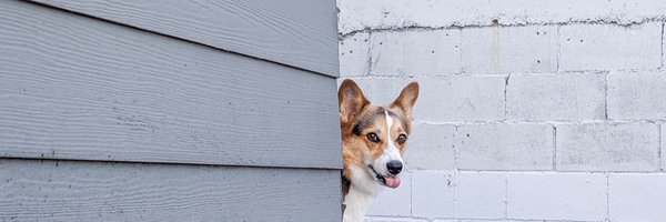 PAVDAD Profile Banner