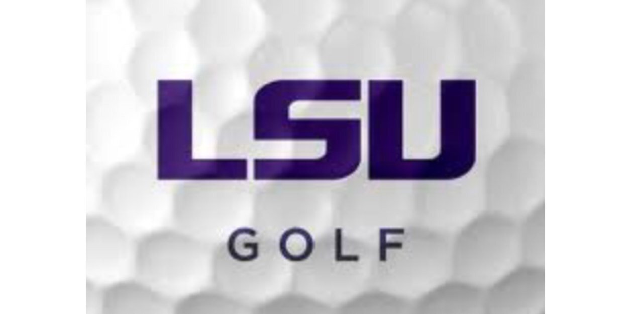 Luis Gagne banner