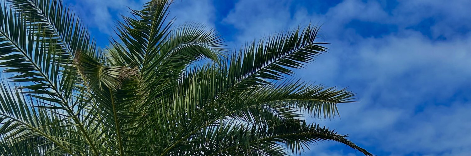 Nipaii's profile banner image