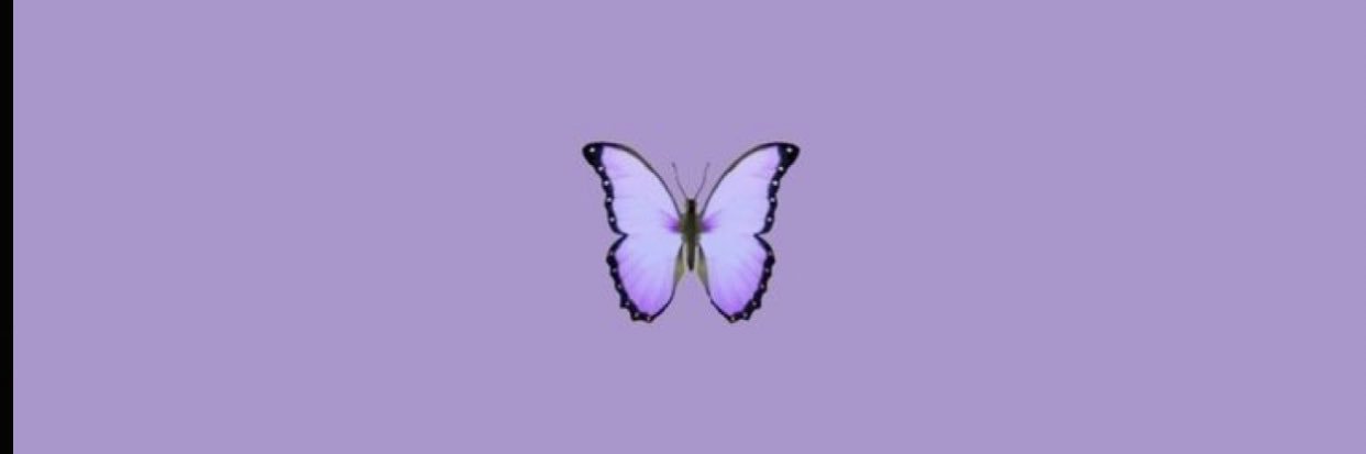 Shvnnen's profile banner image