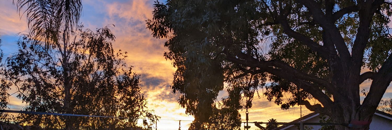 ashrrs's profile banner image