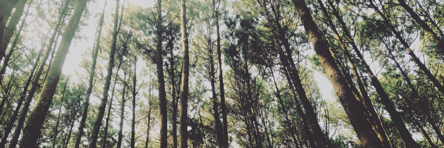 srigalarimba's profile banner image