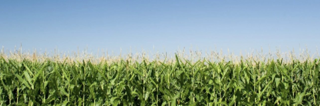adamdickinson4's profile banner image