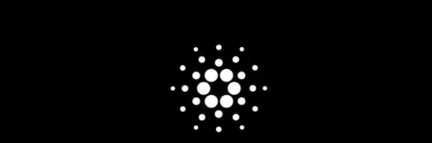 YvJobsCrypto's profile banner image
