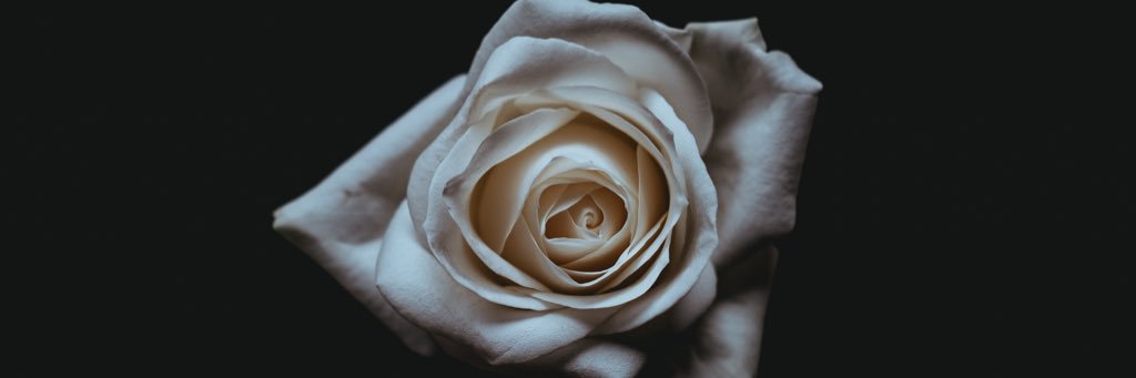 marisa_docherty's profile banner image
