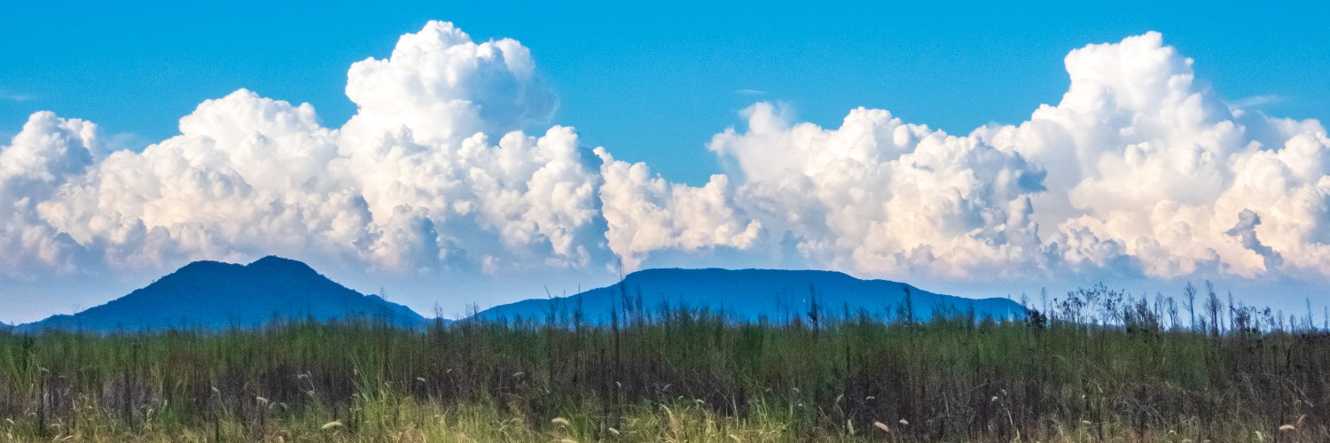 bison65535's profile banner image
