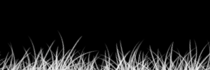 27Pulgadas's profile banner image