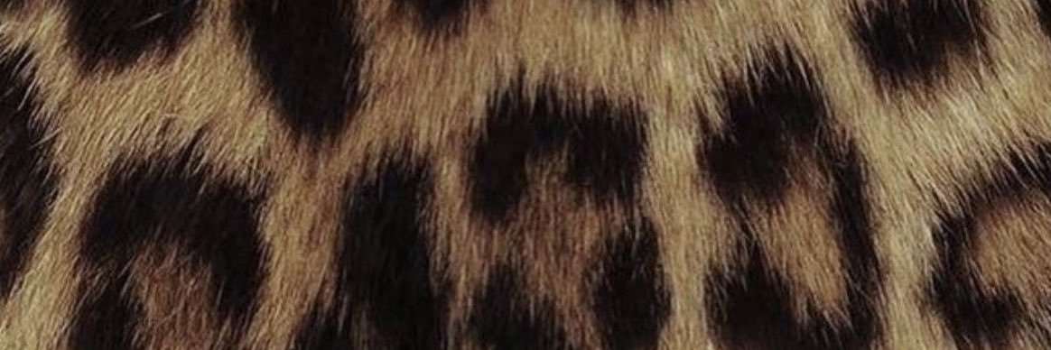 shoutiito's profile banner image
