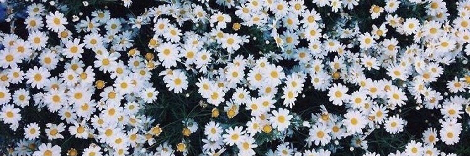 baileymariah_'s profile banner image