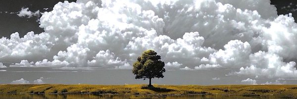 AustinBirks Profile Banner