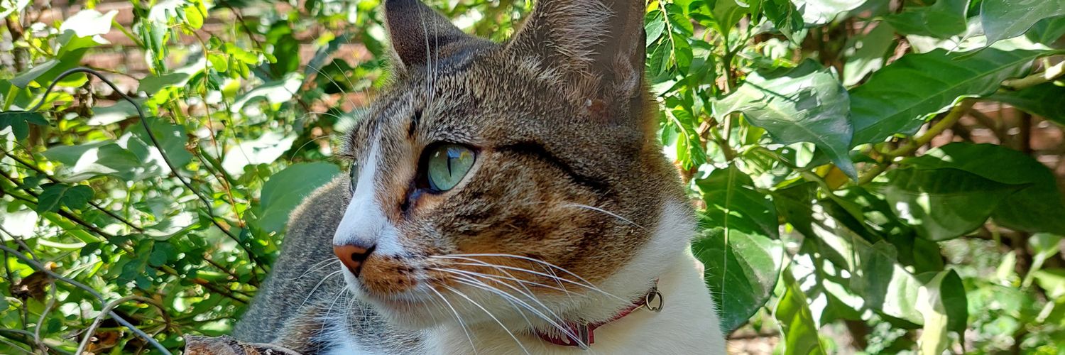 aguswilde13's profile banner image