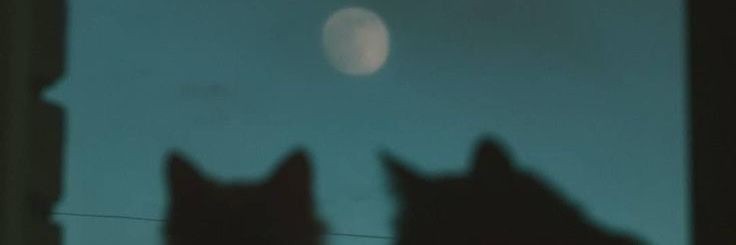 Marc0Nuez's profile banner image