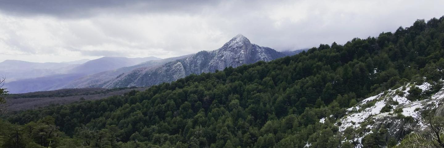 amcarren's profile banner image